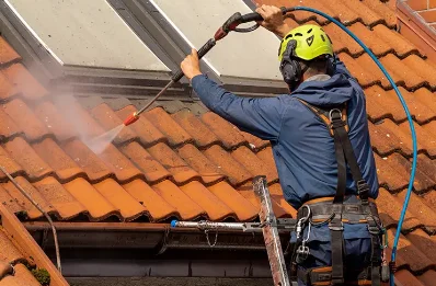 Démoussage et hydrofuge de toiture à Massongy